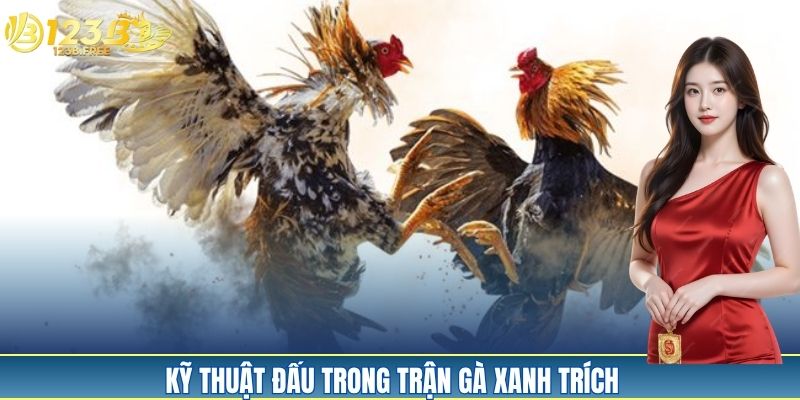 Các kỹ thuật chiến đấu của trận gà xanh trích