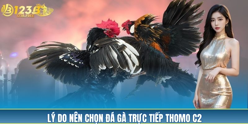 Các nguyên nhân gây ấn tượng của đá gà trực tiếp Thomo C2 Các nguyên nhân gây ấn tượng của đá gà trực tiếp Thomo C2