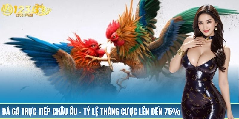 Đá Gà Trực Tiếp Châu Âu – Tỷ Lệ Thắng Cược 123B Lên Đến 75%