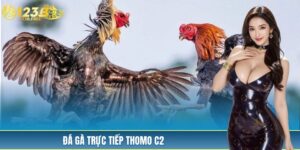 Cập Nhật Đá Gà Trực Tiếp Thomo C2 Tại 123B Nhanh Nhất 2025
