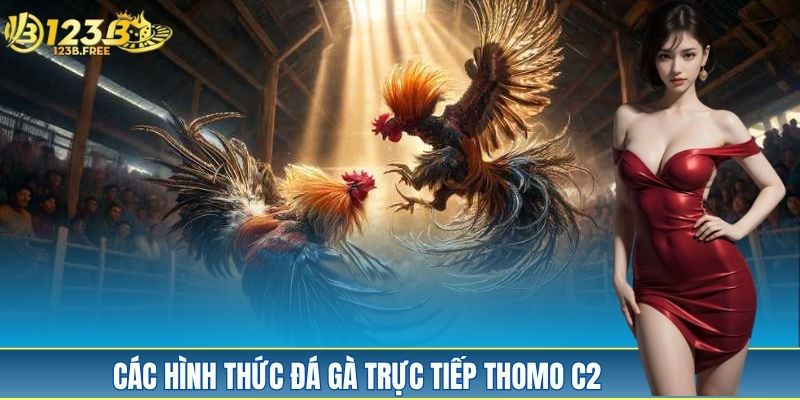 Danh sách một vài hình thức đá gà trực tiếp Thomo C2 Danh sách một vài hình thức đá gà trực tiếp Thomo C2
