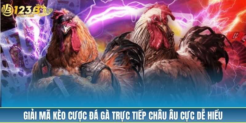 Giải mã kèo cược đá gà trực tiếp châu Âu cực dễ hiểu Giải mã kèo cược đá gà trực tiếp châu Âu cực dễ hiểu