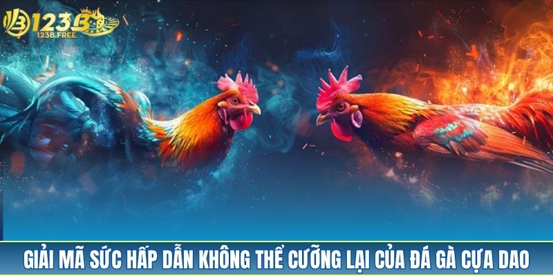 Giải mã sức hấp dẫn không thể cưỡng lại của đá gà cựa dao Giải mã sức hấp dẫn không thể cưỡng lại của đá gà cựa dao