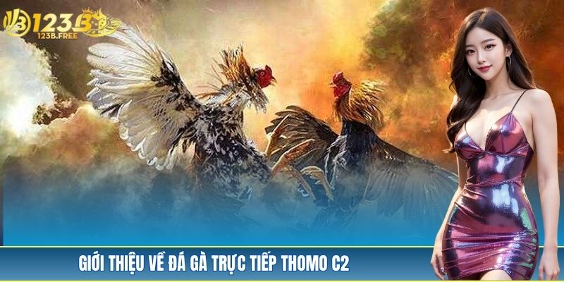Khám phá sơ lược vài nét về đá gà trực tiếp Thomo C2 Khám phá sơ lược vài nét về đá gà trực tiếp Thomo C2