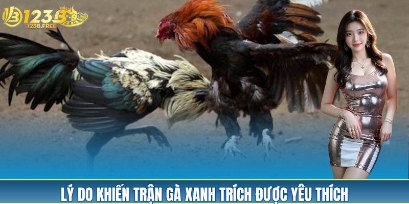 Tổng hợp nguyên nhân trận gà xanh trích được ưa chuộng